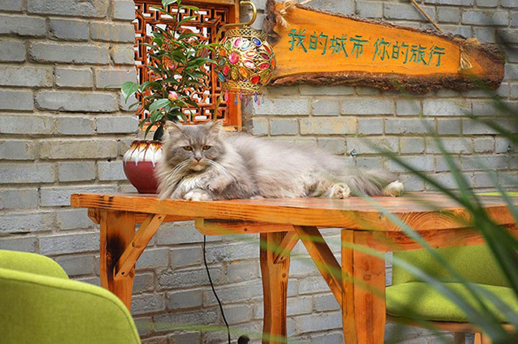 Luoyang Longmen Youth Hostel Экстерьер фото